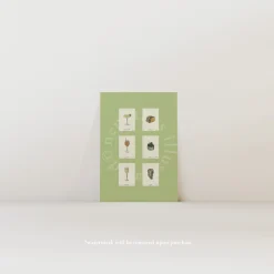 Affiche A3 Sips & Snacks - Green