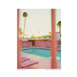 Affiche AWOL 011 - The Pink Umbrellas - The Visions