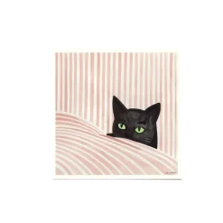 Affiche Kosicka Black cat - 50 x 50 cm
