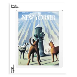 Affiche The Newyorker 200 drooker dog’s eye view 27 juin 2005 - 40 x 50 cm