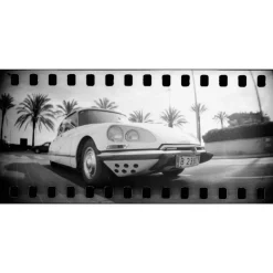 Appareil panoramique Sprocket Rocket Coconut