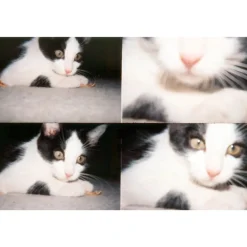 Appareil Photo ActionSampler - Transparent