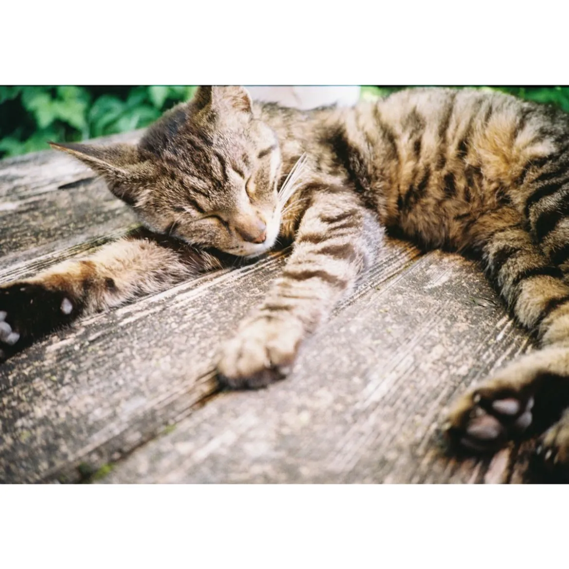 Appareil photo 35 mm Lomo MC-A argenté