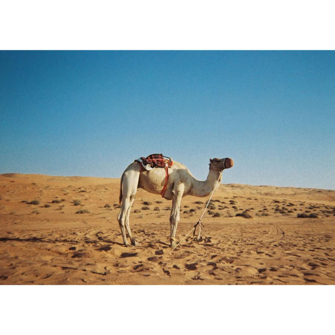Appareil photo Simple Use Camera 200/27 Classicolor