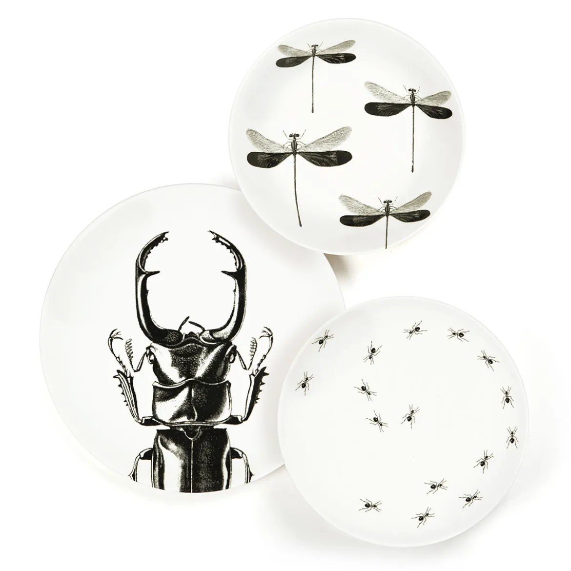 Assiette creuse - Libellule