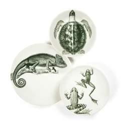 Assiette creuse - Tortue