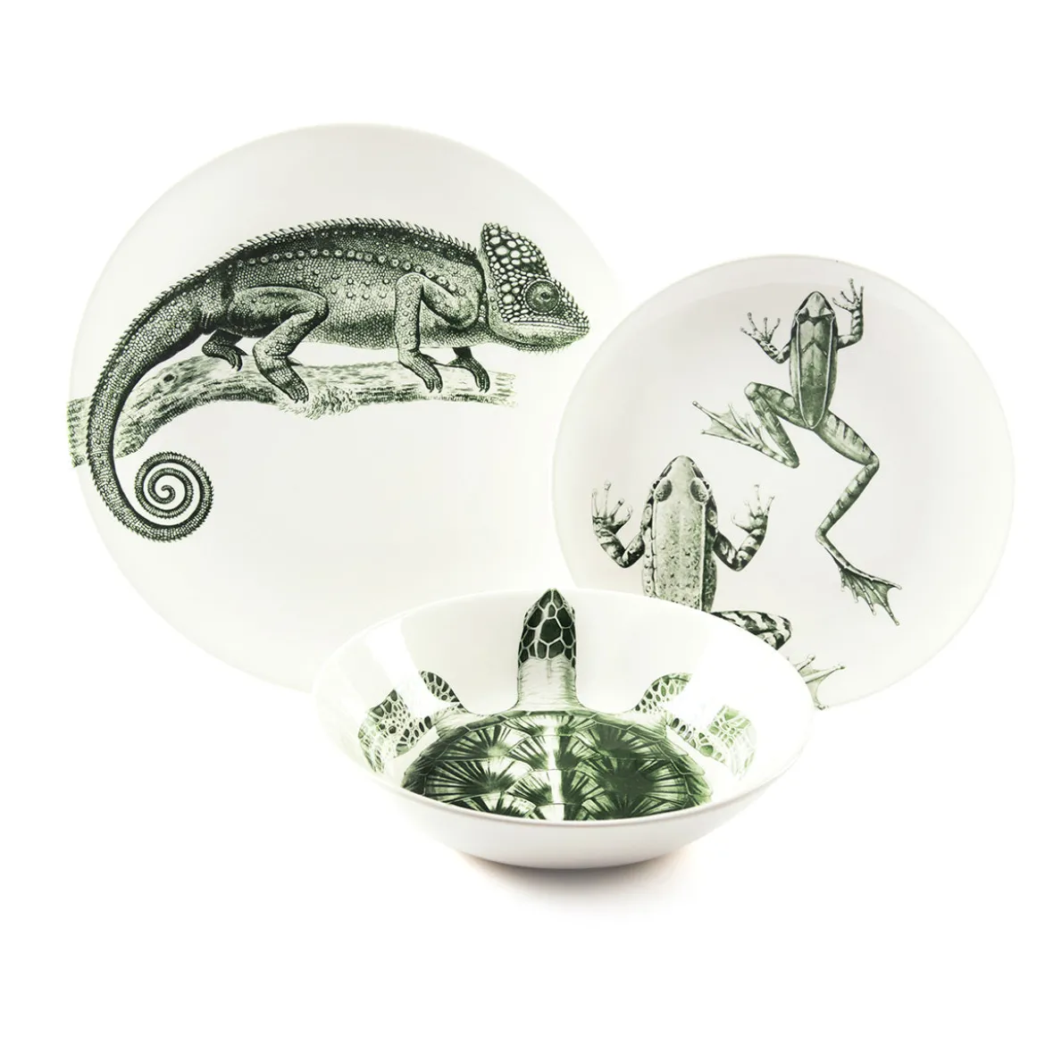 Assiette creuse - Tortue