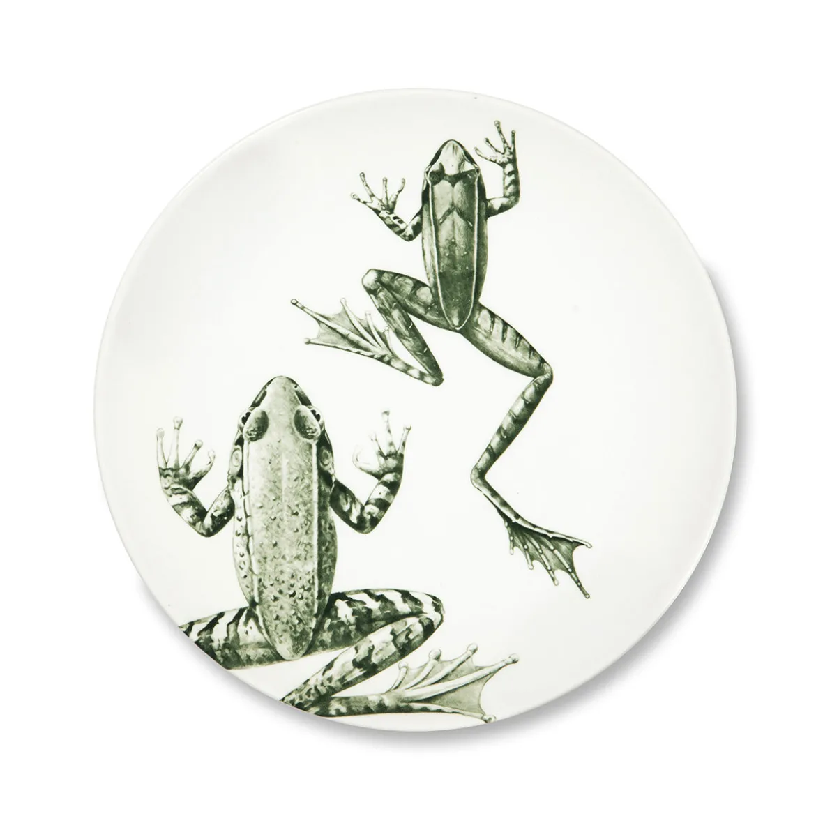 Assiette à dessert - Grenouille