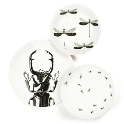 Assiette plate - Scarabée