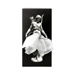 Boîte à mouchoirs - Mythology Artemis