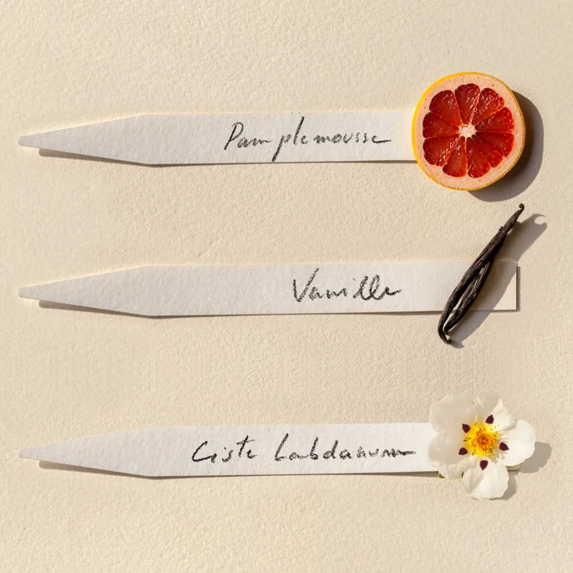 Bougie parfumée - Ambre
