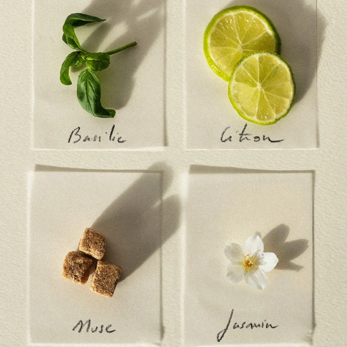 Bougie parfumée - Basilic Citron
