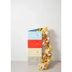 Box Studio About - Light Yellow