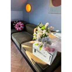 Box Studio About - Mint