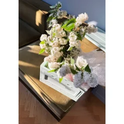 Box Studio About - Mint