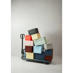 Box Studio About - Rose