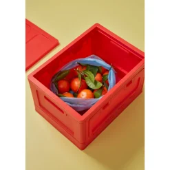 Box Studio About - Rouge