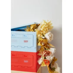 Box Studio About - Rouge