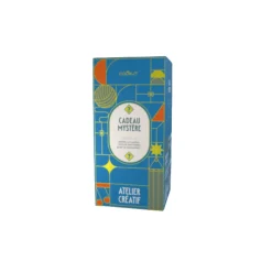 Cadeau Mystère - Atelier Créatif 2025