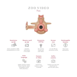 Camera Zoo Vidéo - Renard