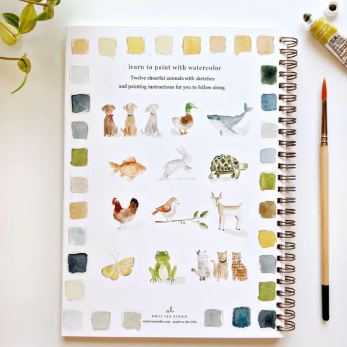 Carnet d'aquarelle - Animals