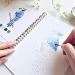Carnet d'aquarelle - Birds