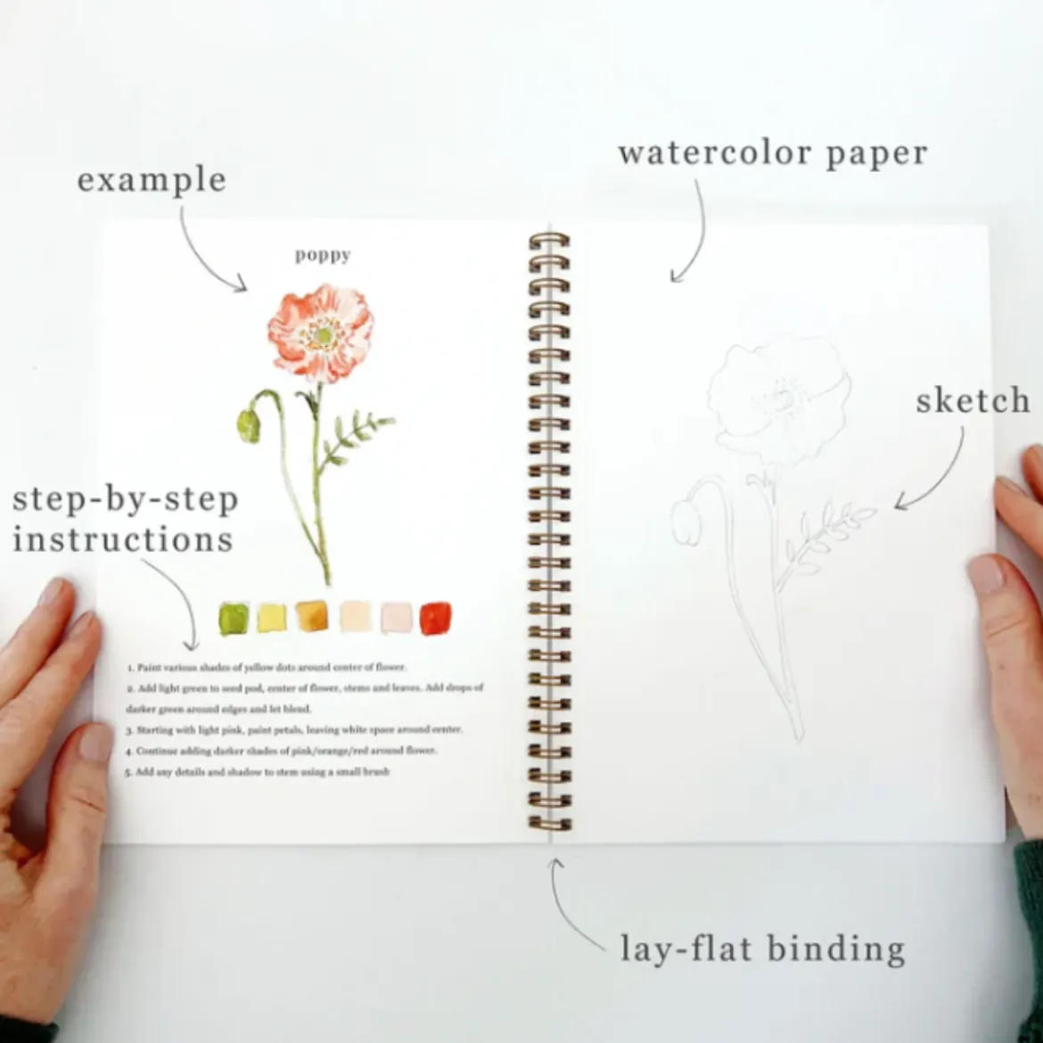 Carnet d'aquarelle - Flowers