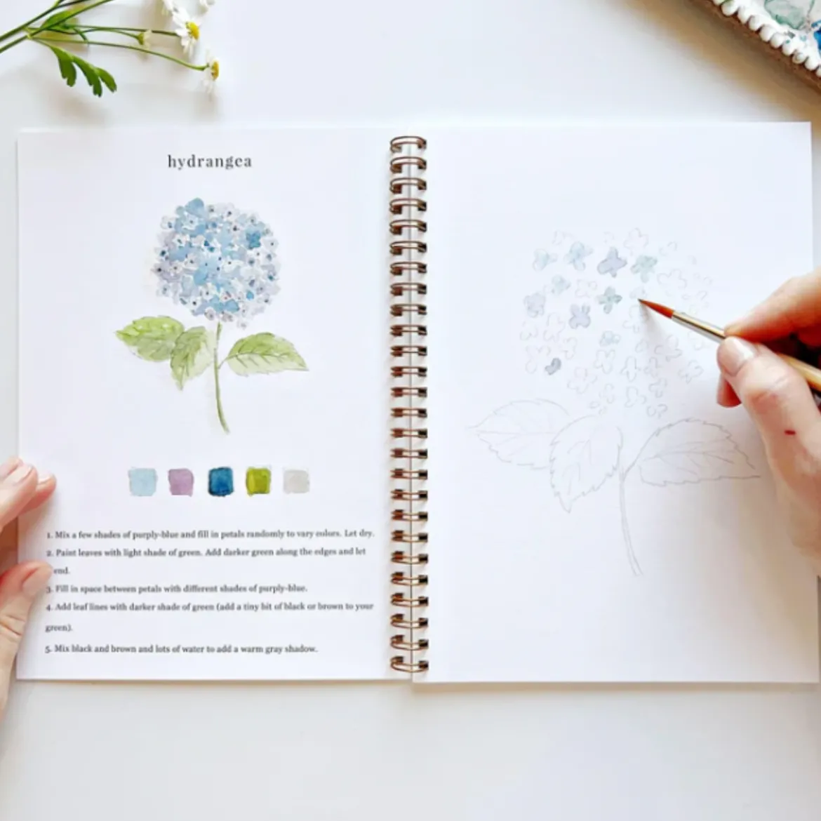 Carnet d'aquarelle - Flowers