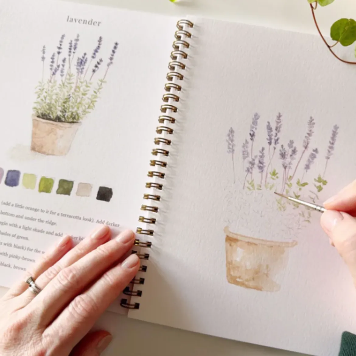 Carnet d'aquarelle - Garden