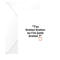 Carte Postale Loic Prigent T'es Breton Breton