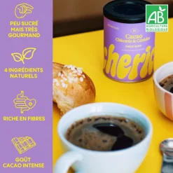 Chicorée Mochaccino Bio
