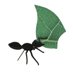 Collection Origami de 3 Fourmis Coupeuses De Feuilles