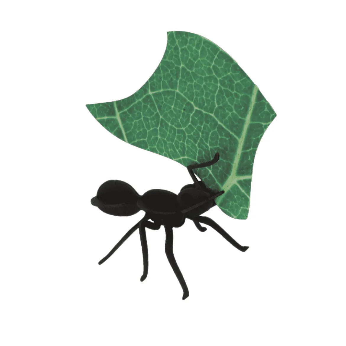 Collection Origami de 3 Fourmis Coupeuses De Feuilles