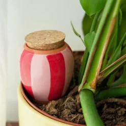 Diffuseur d'eau naturel Olla - Rayé
