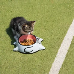 Gamelle Jean Jullien - Chat