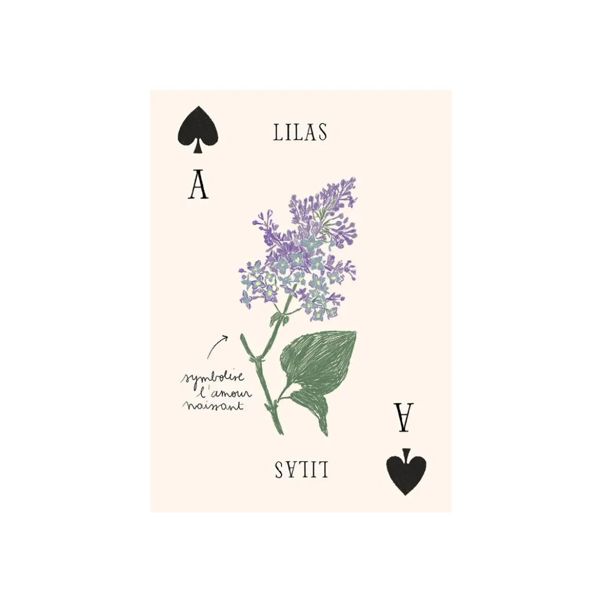 Jeu de cartes Les Fleurs - Zoé de Las Cases