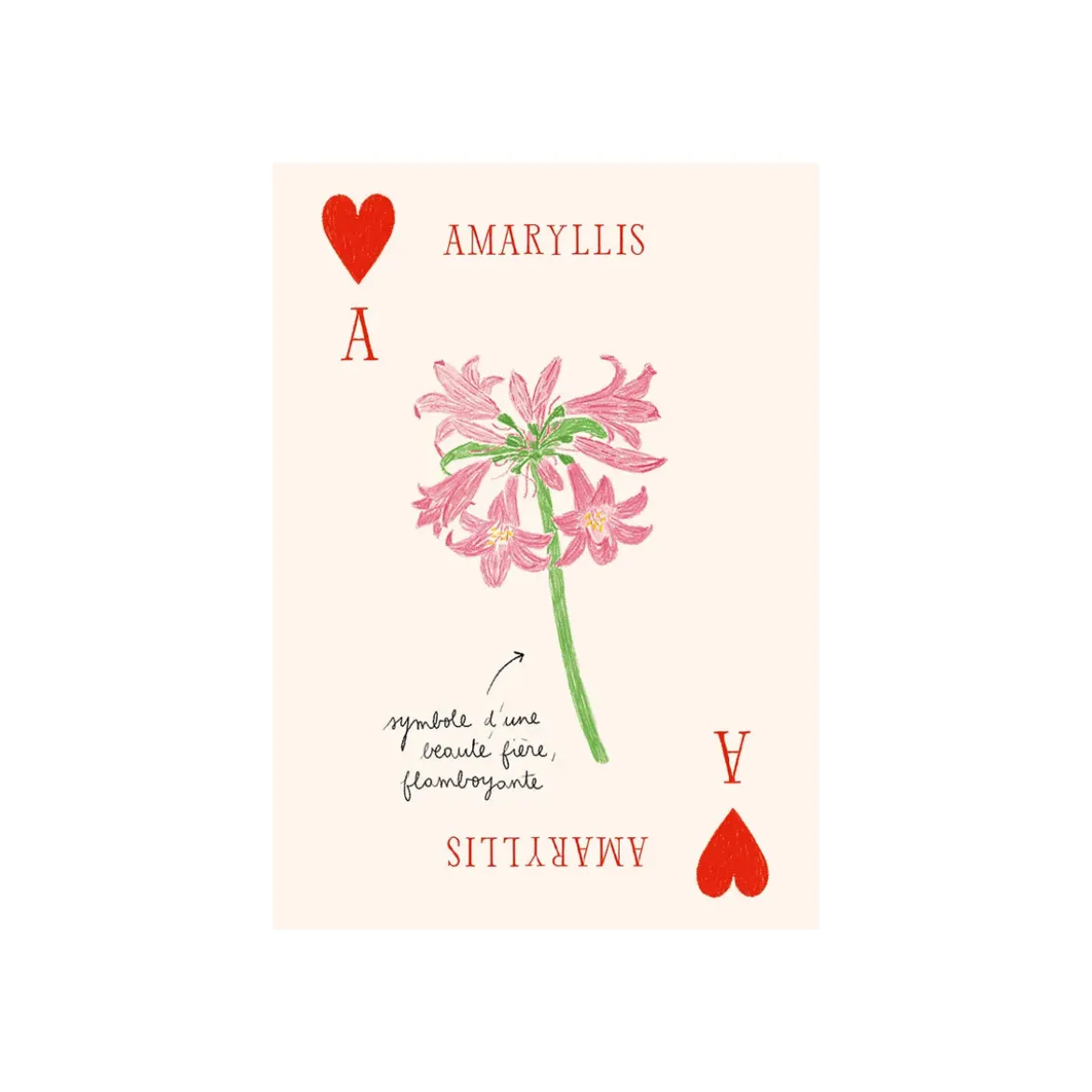 Jeu de cartes Les Fleurs - Zoé de Las Cases