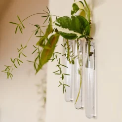 Pack de 3 vases muraux