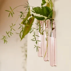 Pack de 3 vases muraux