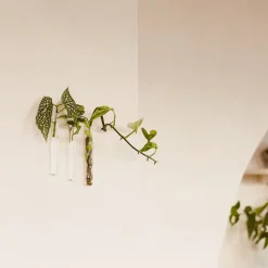 Pack de 3 vases muraux