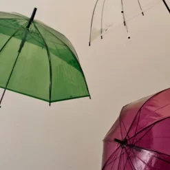 Parapluie Canopy
