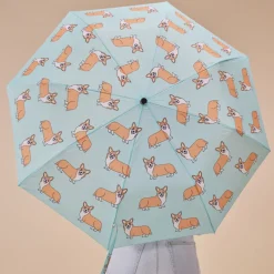 Parapluie à manche Tête de Canard - Corgi - Coucou Suzette