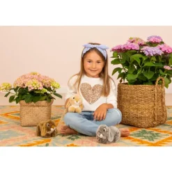 Peluche Lapin Bélier Marron