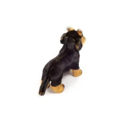 Peluche Teckel à poil dur debout