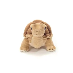 Peluche Tortue
