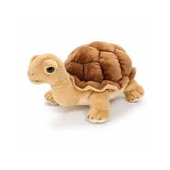 Peluche Tortue