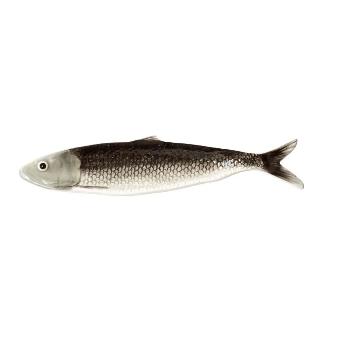 Plateau allongé Sardine Grise