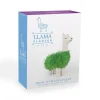 Pot / Jardinière Chia Lama