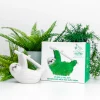 Pot / Jardinière Chia - Paresseux