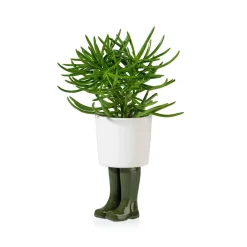Pot / Jardinière Wellington Petit - Vert